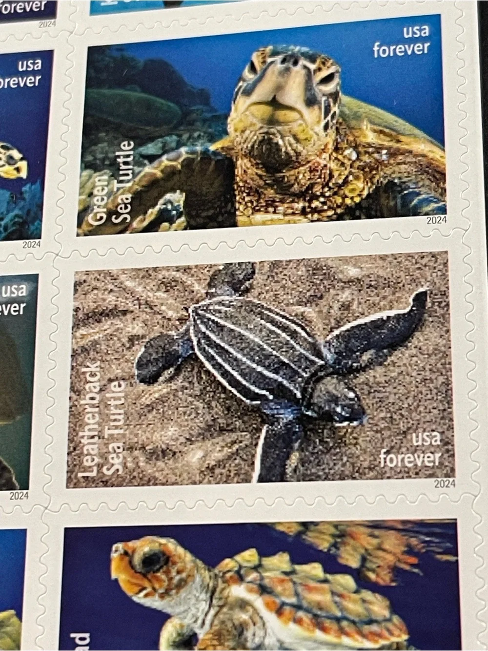 One (1) PROTECT SEA TURTLES Forever Stamp Sheet - 18 total Stamps, MNH